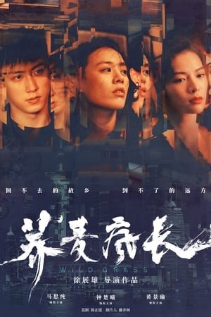 Mùa Hoa Kiều Mạch Mùa Hoa Kiều Mạch